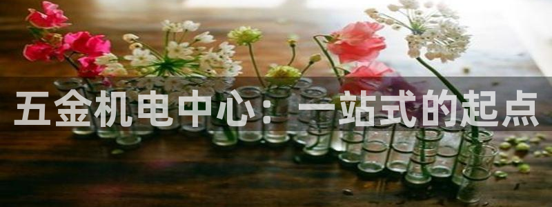 恒行娱乐5ll533主管优雅