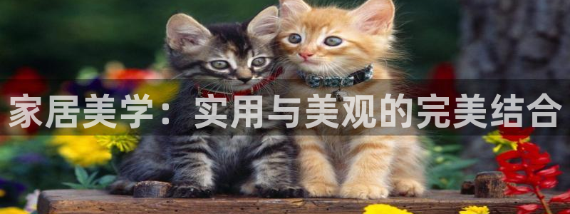 恒行娱乐老板推荐5ll533主管