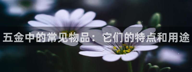 恒行主管总代6ll5l周至