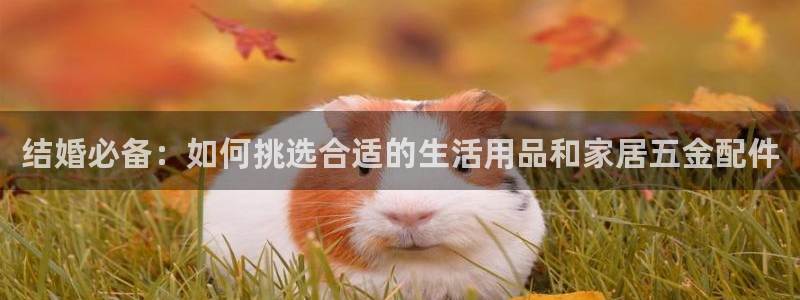 恒行娱乐5ll533主管耐心