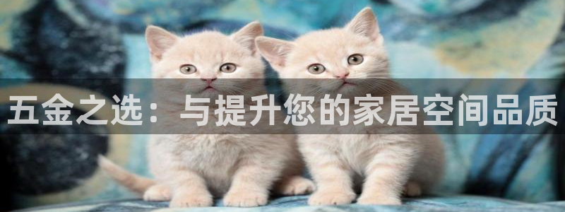 恒行2蒋74OOO5