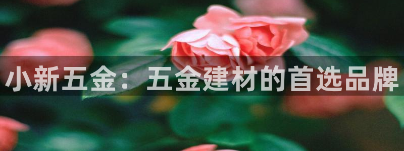 恒行娱乐毓婆74ooo5仪