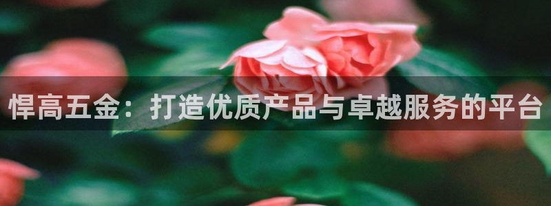 恒行娱乐寻问74 5