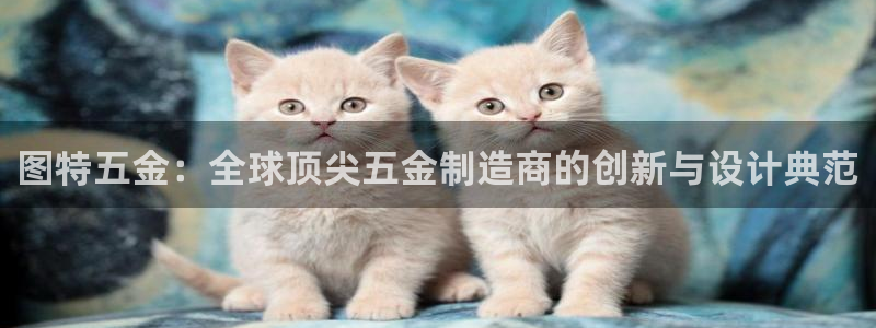 恒行代理总代主导 6ll5l