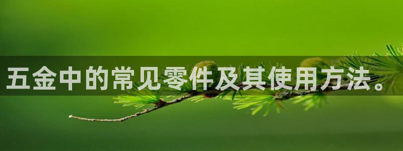 恒行娱乐毓婆74ooo5仪