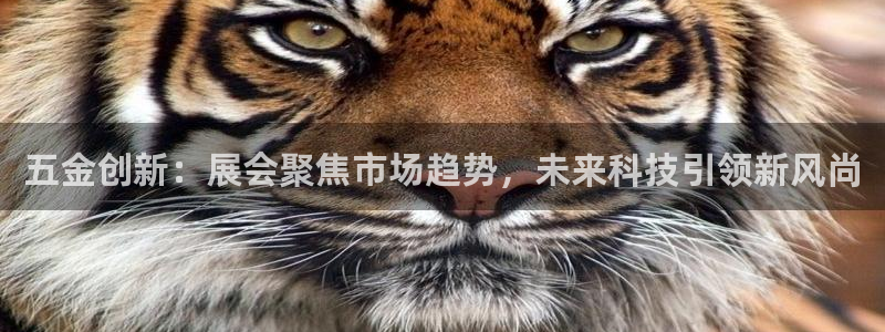 恒行娱乐冯74OOO5