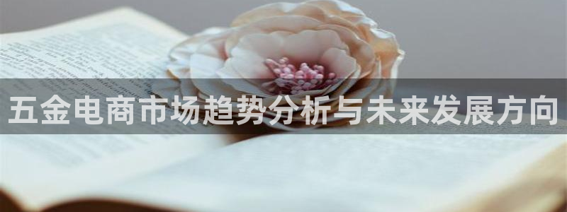 恒行娱乐河沂74ooo5程