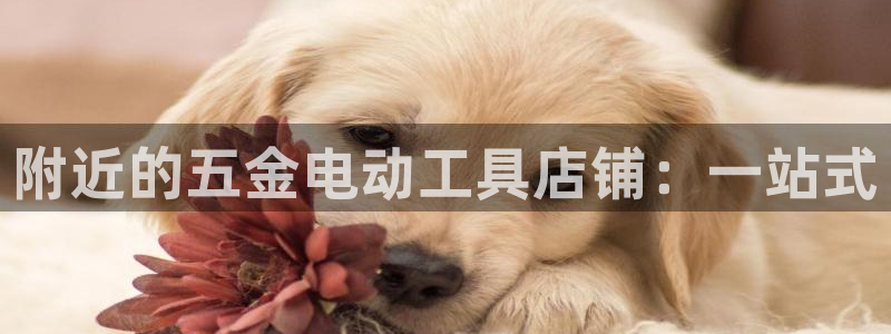 恒行娱乐郑74OOO5