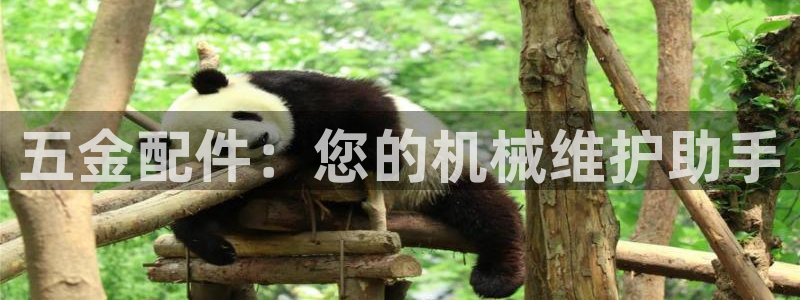恒行2吕74OOO5