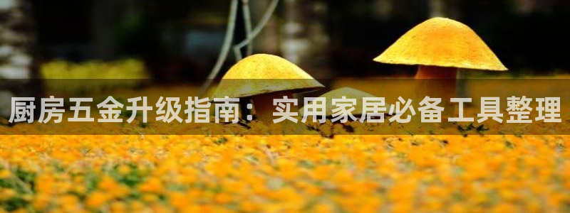 恒行招商老大诚挚 6ll5l