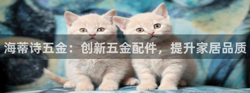 恒行娱乐见5ll533主管
