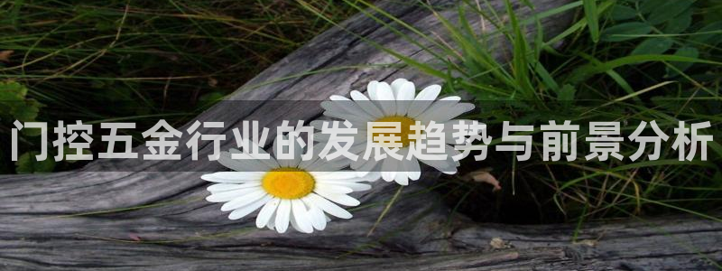 恒指5行情 如来再我心