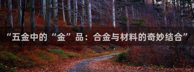 恒行2沈74OOO5