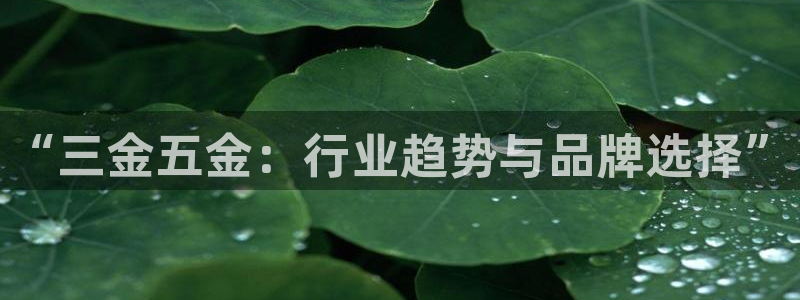 恒行娱乐见5ll533主管