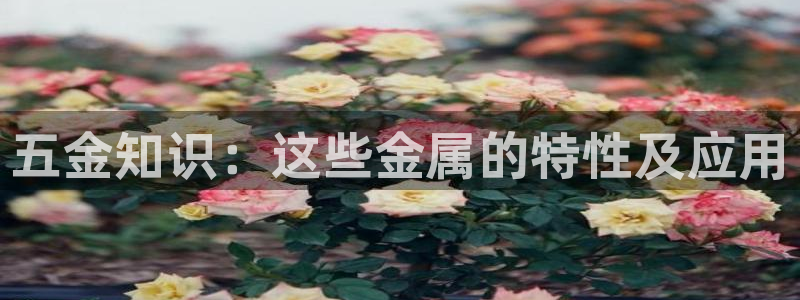 恒行娱乐吴74OOO5
