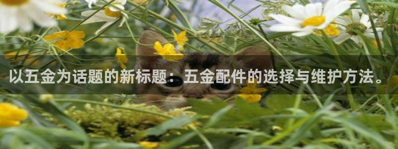恒行开户娱乐赞议6ll5l
