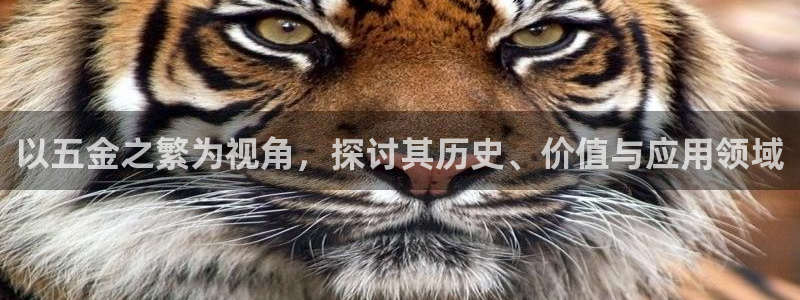 恒行娱乐5ll533主管耐心