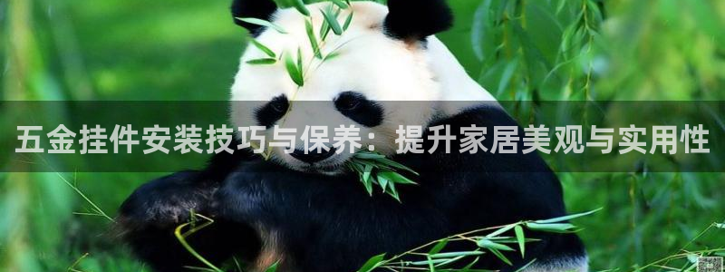 恒在5行中代表什么数字