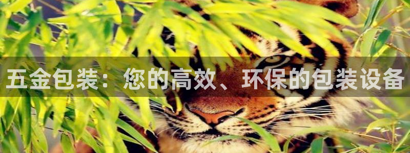 恒行2褚74OOO5