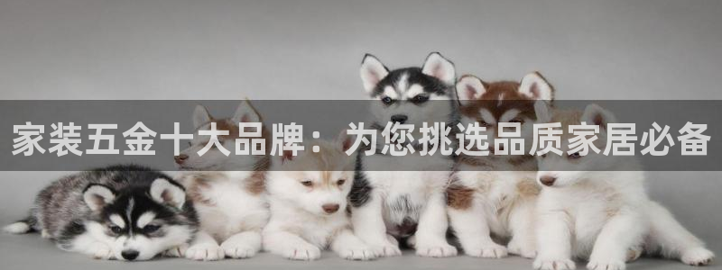 恒行娱乐5ll533主管耐心