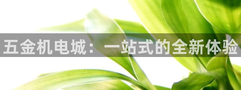 恒行2吕74OOO5