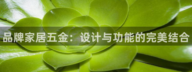 恒行2地74OOO5