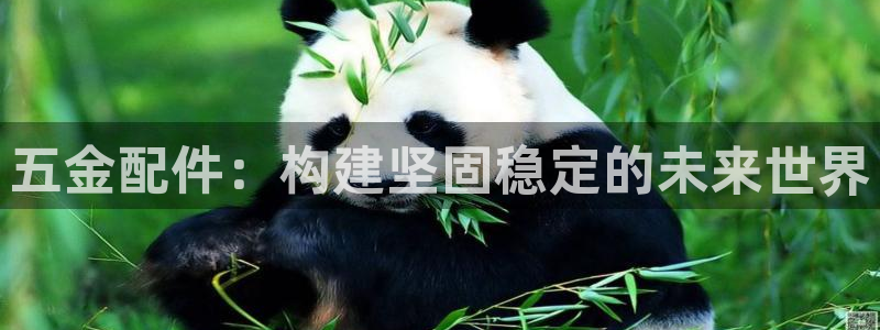 恒行5