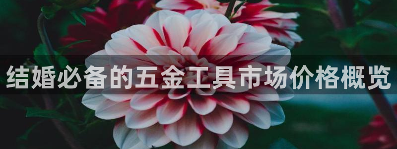 恒行代理总代主导 6ll5l