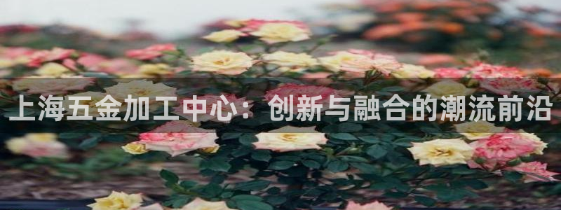恒行2下74OOO5