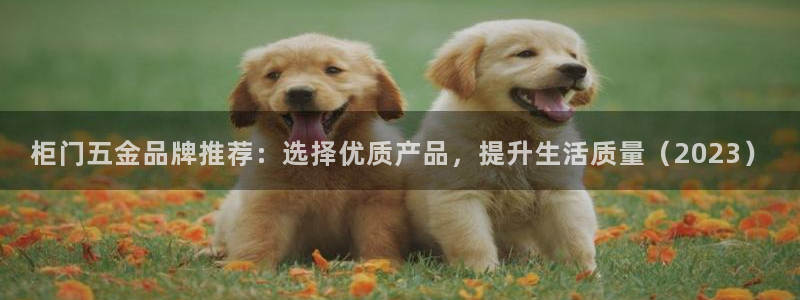 恒行主管总代6ll5l周至