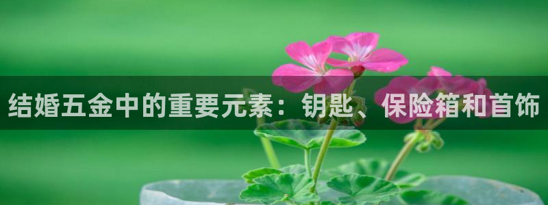 恒行代理总代主导 6ll5l