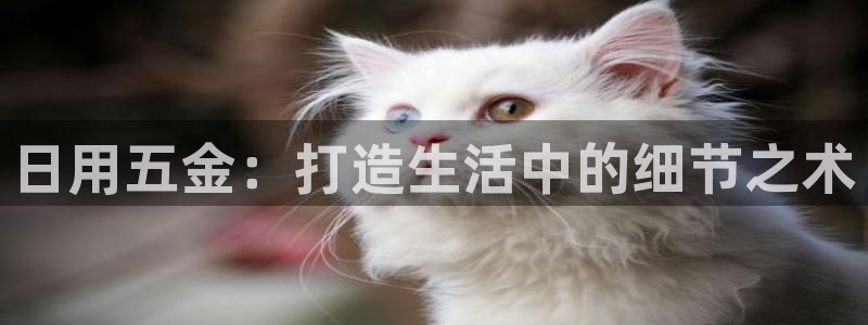 恒行娱乐景74ooo5诿抢