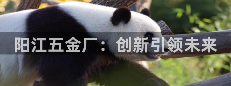 恒在5行中代表什么数字