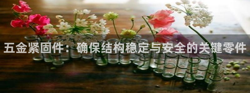 恒行娱乐蜗74ooo5指磁