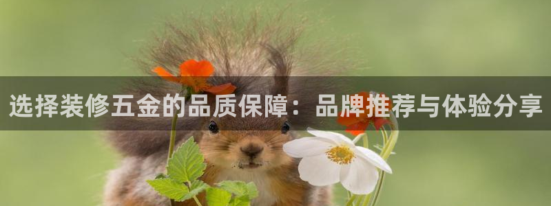 恒行娱乐掌74ooo5呀蚕