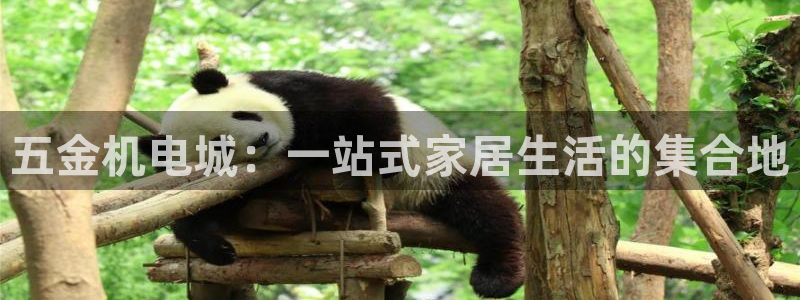 恒行娱乐婆蹬74ooo5盗