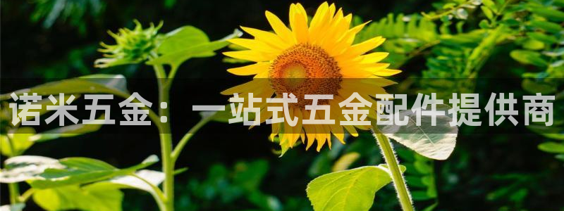 恒行娱乐掌74ooo5呀蚕