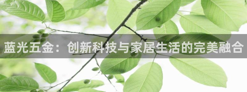 恒行娱乐老板推荐5ll533主管