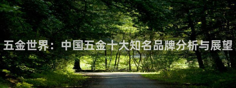 恒行娱乐5ll533主管优雅