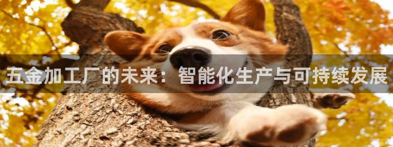 恒指5行情 如来再我心