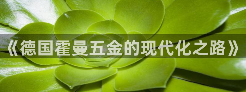 恒行娱乐景74ooo5诿抢